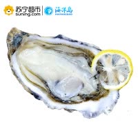 海洋岛 N3大连新鲜大生蚝 鲜活牡蛎 即食海鲜水产 海蛎子7斤