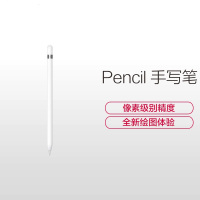 Apple pencil 手写笔 MK0C2CH/A 定制版