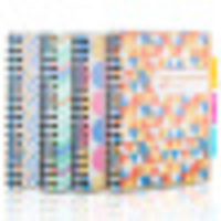 广博FB60506-线圈记事本子日记本文具笔记本16K115页图案随机（3本价格）