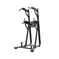 舒华单双杠提腿腹肌组合练习运动健身器材SH-6888