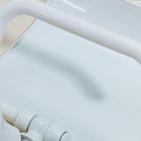 茶花(CHAHUA)0919吸盘纸巾架白色