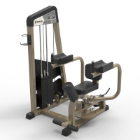 舒华58系列商用健身房综合力量器扭腰转动训练器SH-G5809