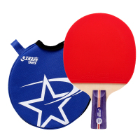 DHS/红双喜R1006一星级直拍双面反胶乒乓球拍
