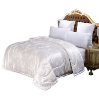 【苏宁自营】素洁家纺 六斤羽丝棉 冬被 180*220