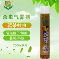 康捕快克杀虫喷雾剂 杀虫气雾剂驱杀灭蚊750g