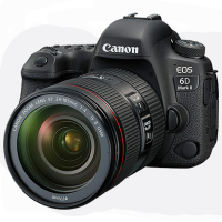佳能(Canon) EOS 6D2(24-105F4 II)+600EX闪光灯 数码单反相机 单镜头套装 约2620万像