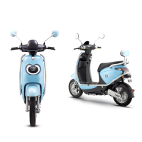 新日(Sunra)电动车 灵动系列 小柚果 48V20Ah