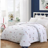 迪士尼魅力米奇被盛世