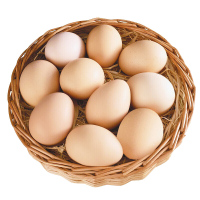 春朝初产草鸡蛋10枚(菜场)