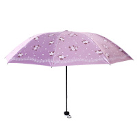 SCP 晴雨伞天堂四月芳菲雨伞 SCP-437 (价格为10把价格)