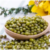 CCSM 散装绿豆 绿豆 杂粮 粗粮 50斤