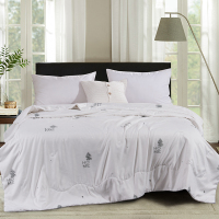 BEYOND博洋纯蚕丝被-恋家64BY703(200cm×230cm)