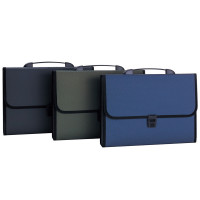 得力deli555612格A4手提式风琴包 文件包 事务包 公文包软手提245*330*40mm 颜色随机(单个)