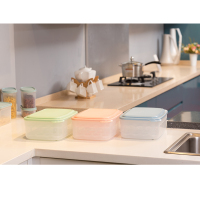 四叶草自动排水保鲜盒BX30