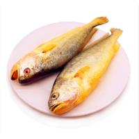 绿佑 盒装本地海捕海鲜黄花鱼1kg舌头鱼1kg偏口鱼1kg鲅鱼1kg刀鱼段1kg虾仁1盒