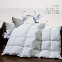 HangKey梦巴黎羽绒被1809