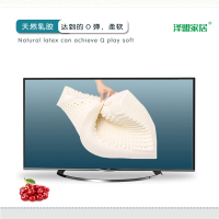 泽盟家居-天然乳胶枕ZM-17036