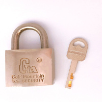 金岳 叶片铜锁电镀 BR35mm(单位:把)