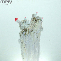 每涯艺术 陈正帅《惯看秋月春风》NO.20 艺术家原创油画艺术品收藏 客厅卧室玄关餐厅办公室居家装饰 挂画