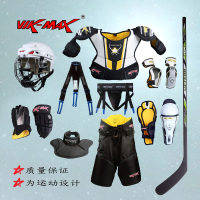 威玛仕 十件套 冰球护具轮滑球装备 儿童/青年/少年