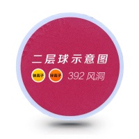 PGM 高尔夫球 双层球 全新高尔夫比赛练习球