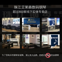 珠江艾茉森电钢琴88键专业家用初学考级数码智能电子钢琴V01