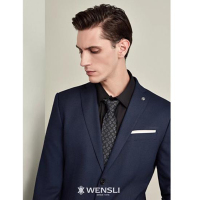 WENSLI 领带 欧文