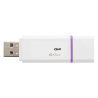 爱国者 DTIG4 金士顿U盘 64G USB 3.0接口 紫白 单位:个(JL)