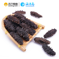 海洋岛 大连野生海参 淡干辽参 海刺参礼盒 80-100头/斤 300g装