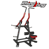 锐诺康 商用健身器材 高拉训练器RH007 健芬欣体育