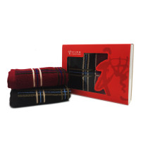 金号 维多利亚/系列-2 双条毛巾彩盒装 HY1014