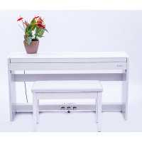 圣思诺 智能专业进口88标准键实木重锤键盘仿钢琴 成人儿童入门初学教学家用电子钢琴 S-182木纹