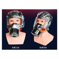 浙安防毒面具TZL30过滤式消防自救呼吸器防毒面罩 10个起送(单位：个)