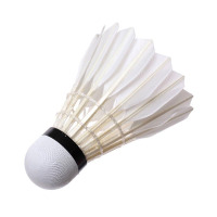 schoolchild 羽毛球Y3