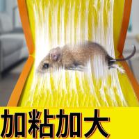 领路者VG00015粘鼠板强力老鼠贴鼠胶专粘大老鼠35g