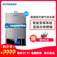 韩国现代(HYUNDAI)12升燃气热水器JSQ24-HY88 家用智能变频恒温 快速加热节能型热水器 天然气