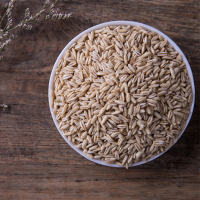 十月稻田 滑燕麦480g农家仁野麦雀粗粮五谷杂粮