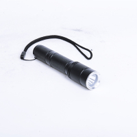 砳信(le xin) 3W 固态微型 电筒 LXFB2012(单位:个)