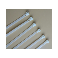 XIXI新兴 塑料扎带 尼龙扎带 4*200mm 500条/包(单位:包)