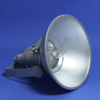 瑞度 防震型投光灯 RGT626 250W