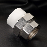 双安 40PPR 内丝活接