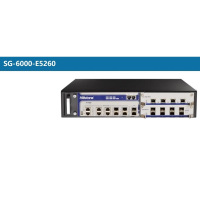 山石网科下一代防火墙SG-6000--E5260-036