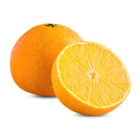 LH橙子