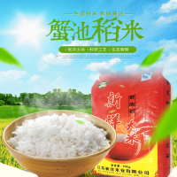 新洋大米(xinyang) 蟹池稻射阳大米5kg/袋 软糯清香 粳米