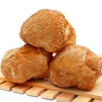 房新莹 猴头菇500g/袋 东北野生大号猴头菇 东北特产山珍 猴头菇菌类 干货