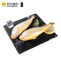 沪沅 生态大黄鱼 450-500g/条