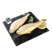 沪沅 东海野生小黄鱼 10-12条/斤 500g/袋