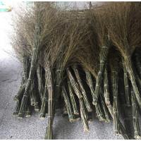 小海牛 大竹扫把 户外清扫 大扫帚环卫清洁小笤帚工厂户外