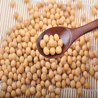 金唐(KTANG)黄豆