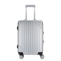 啄木鸟银色商务拉杆箱